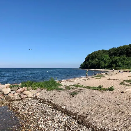Hedwigsblick - Sommerhaeuschen Mit Weitblick & Privattreppe Zum *